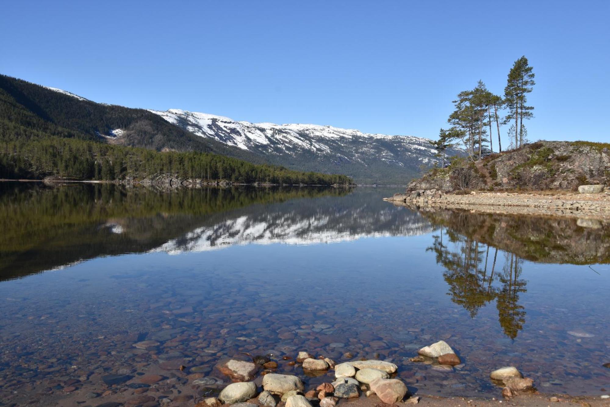 New&Cozy Apartment Near Vradal Panorama Ski Resort, Golf And Beach Eksteriør bilde